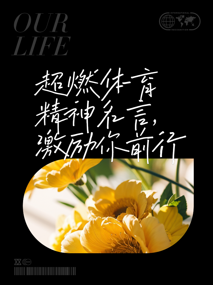 关于今年最励志的体育故事TOP10的信息