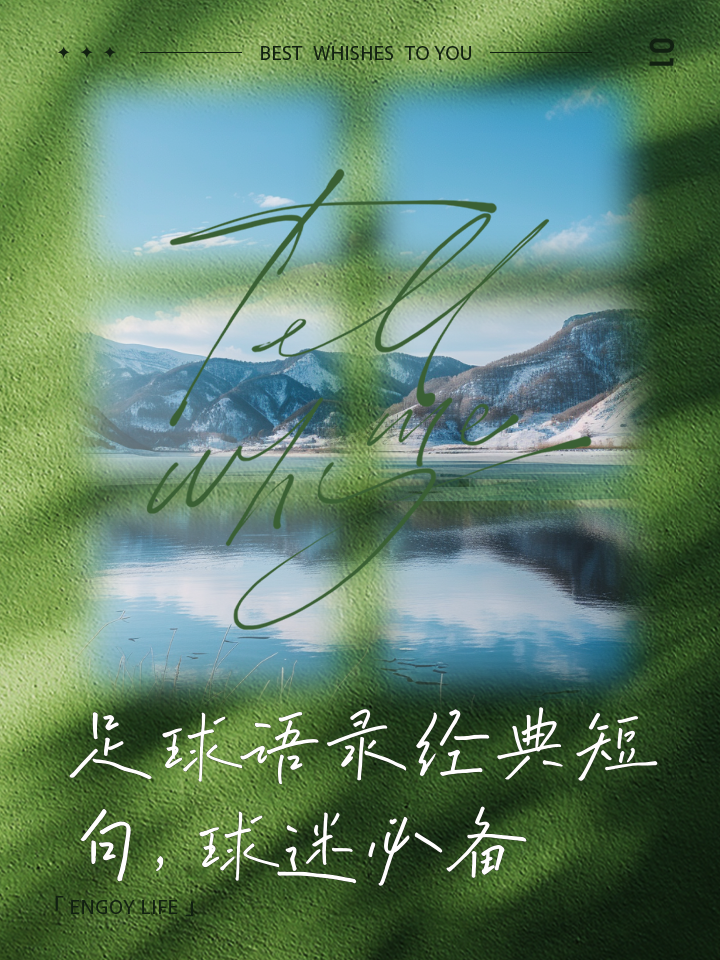 九游体育在线-球迷语录大盘点：你中几条？的简单介绍